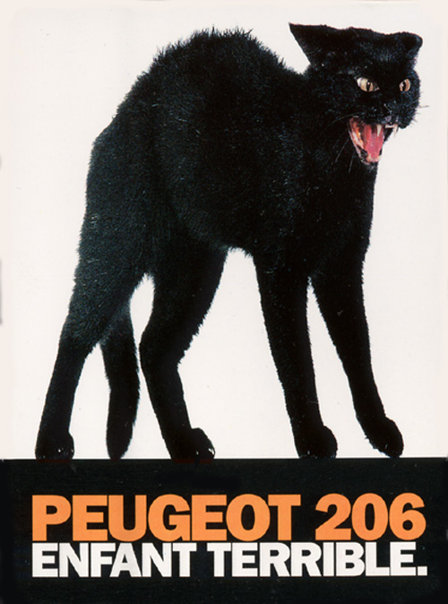 Peugeot206-gatto